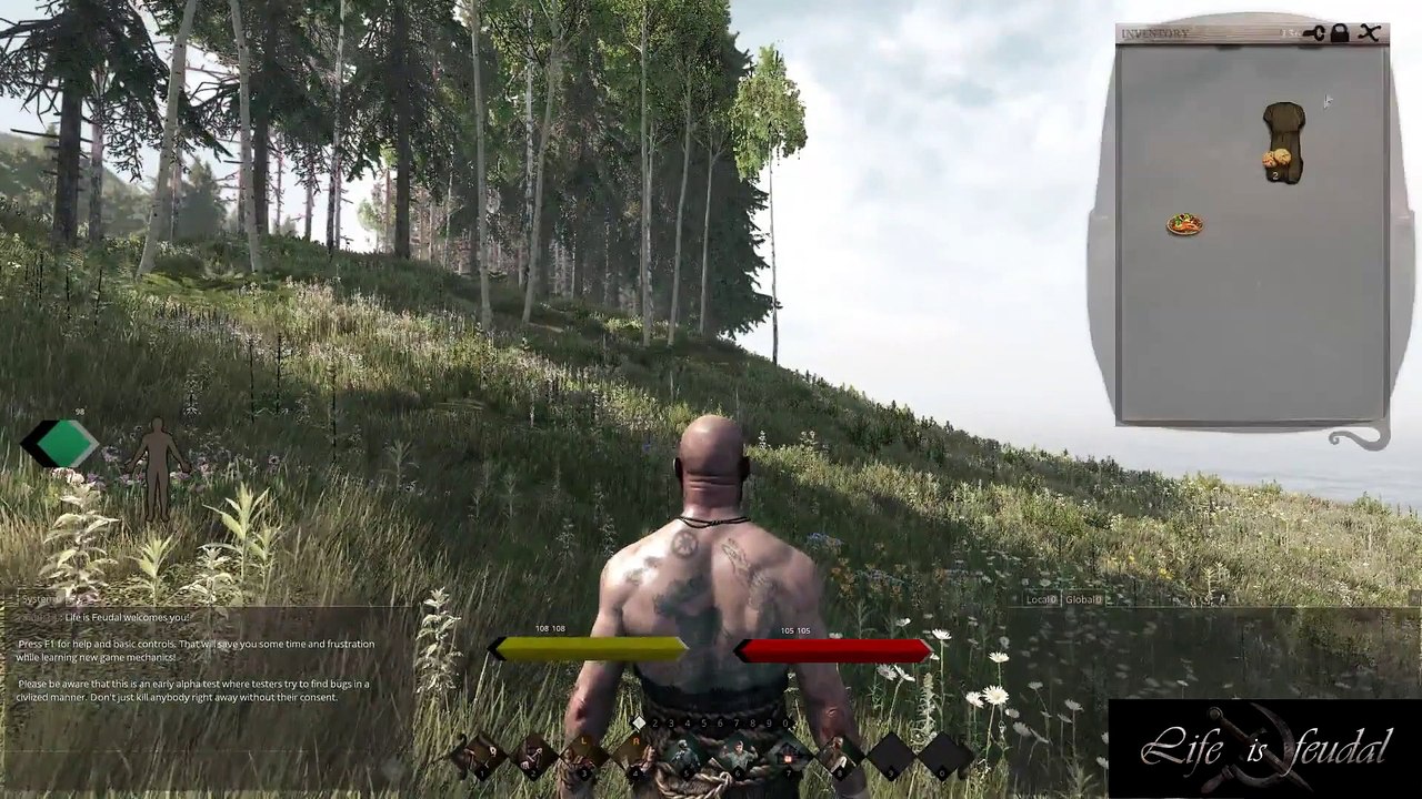 Life is Feudal - Controles e interfaces
