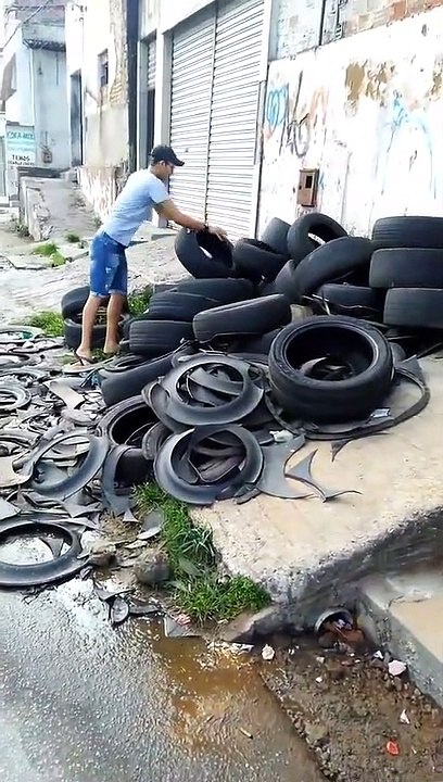 Au Brésil, il récupère les pneus usagés pour les recycler en paniers pour chiens et chats