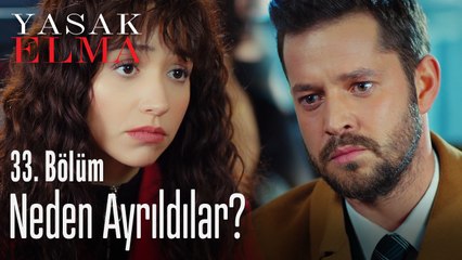Neden ayrıldılar? - Yasak Elma 33. Bölüm