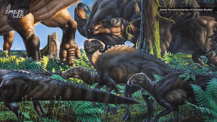 Ancient 'Night Mouse' Battled Four Months of Darkness During Winter Season