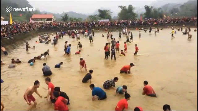 Daring festival-goers catch fish by hand in Vietnam