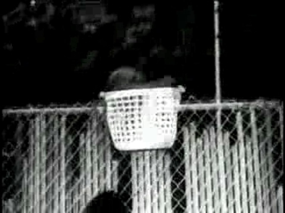 Michel Gondry - Little Boy Plays Basket