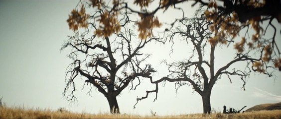 WWE 2K16 - Stone Cold Steve Austin