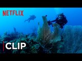 Mission Blue | Clip - The Ocean Is Dying [HD]| Netflix