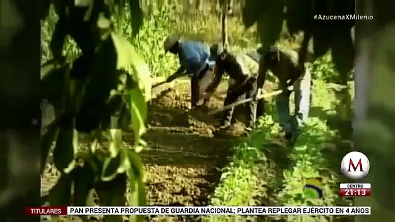 El penal de las Islas Marias lleva mas de 100 anos de existencia