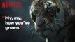 Mowgli: Legend of the Jungle | Clip: Shere Khan Traps Mowgli | Netflix