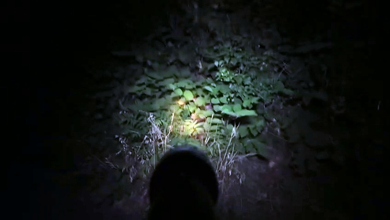Yomawari - Teaser