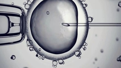 Ancestors: The Humankind Odyssey - Debut