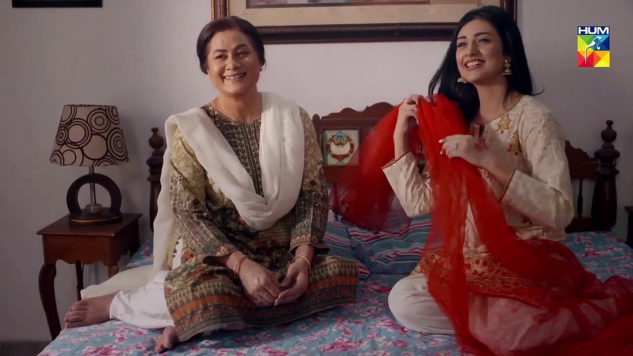 Mere Humdam Episode 04 HUM TV Drama 19 February 2019