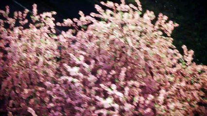 DriveClub - Nissan MY15 GT-R