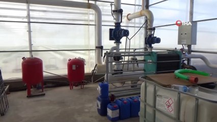 Sıfırdan Başladı, Yıllık 500 Ton Domates Üretiyor