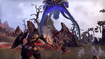 The Elder Scrolls Online: Tamriel Unlimited - Cuatro amigos