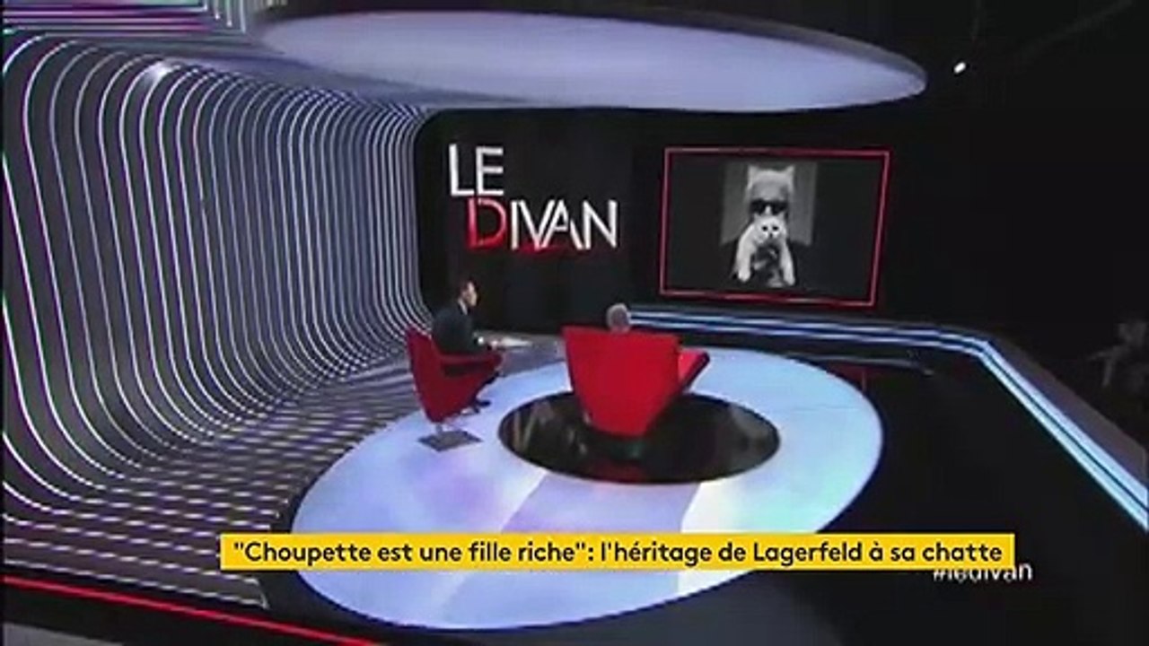 "Choupette est une fille riche" : quand Karl Lagerfeld révélait qu'il comptait léguer une partie de son héritage à sa chatte