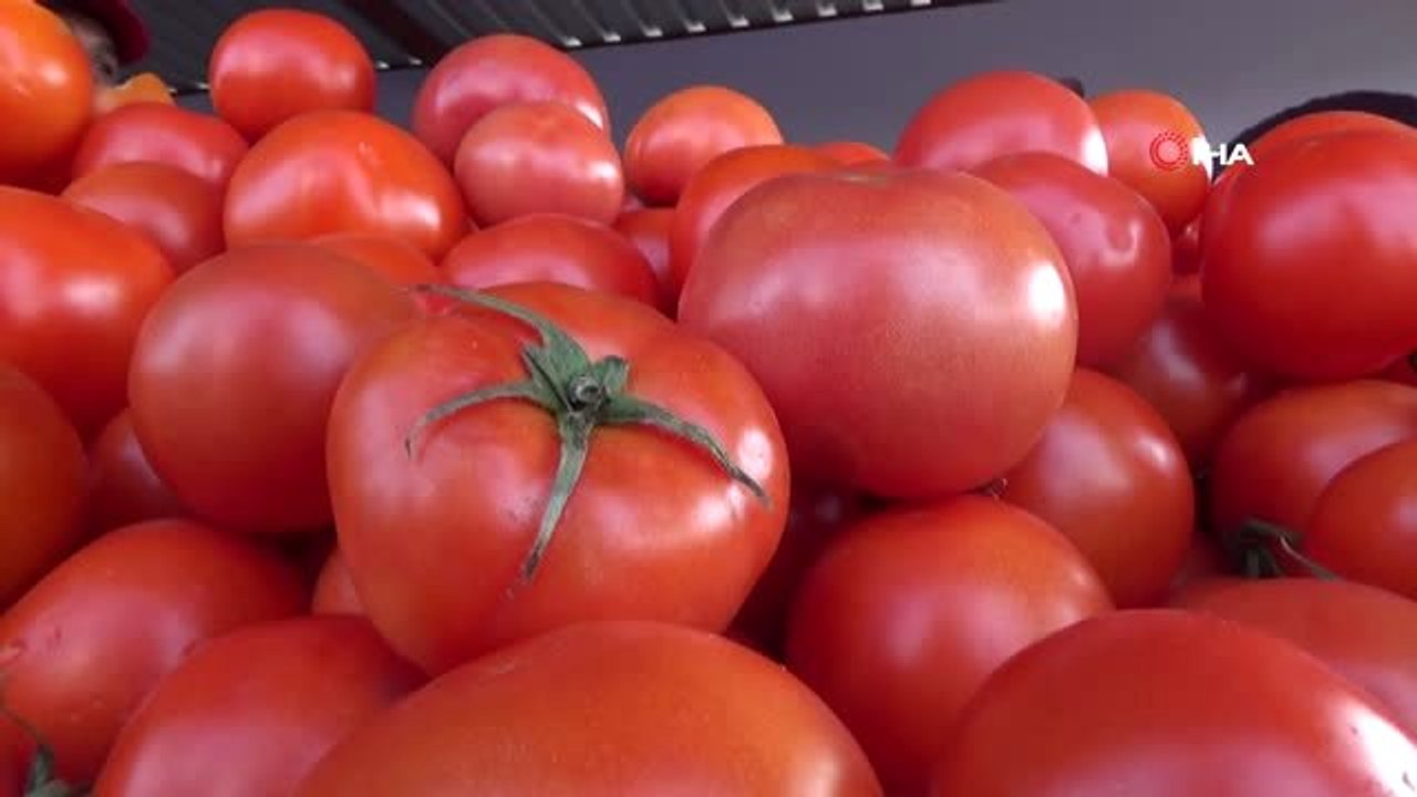 En Ucuz Tanzim Satış Mağazası Adana'da Açıldı