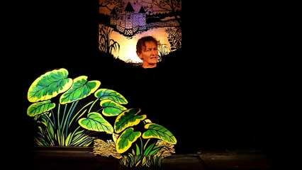 UN VILAIN PETIT CANARD