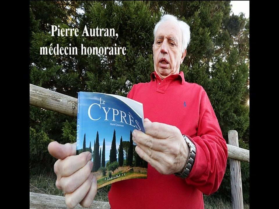 "Le cyprès, un problème de santé publique"