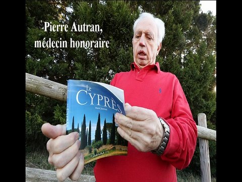 Le cyprès, un problème de santé publique