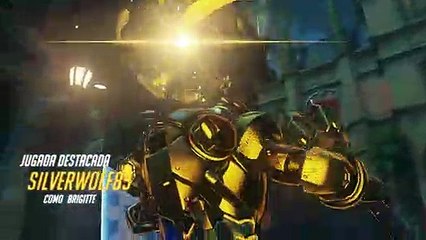 Overwatch Año Lunar del Cerdo 73