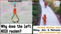 Why does the Left NEED racism? -Walkies with Abby