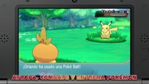 Pokémon Rubí Omega & Zafiro Alfa - Regreso a Hoenn