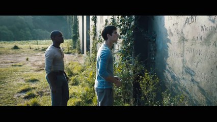 Maze Runner Correr ou Morrer