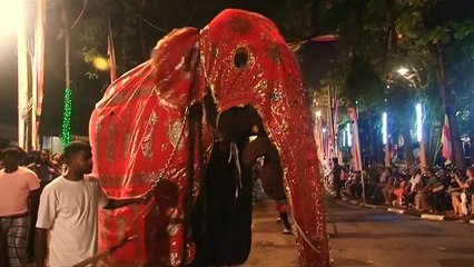 Buddhist parade brings in the crowds in Sri Lanka's capital