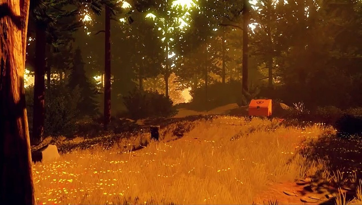 Firewatch - Debut