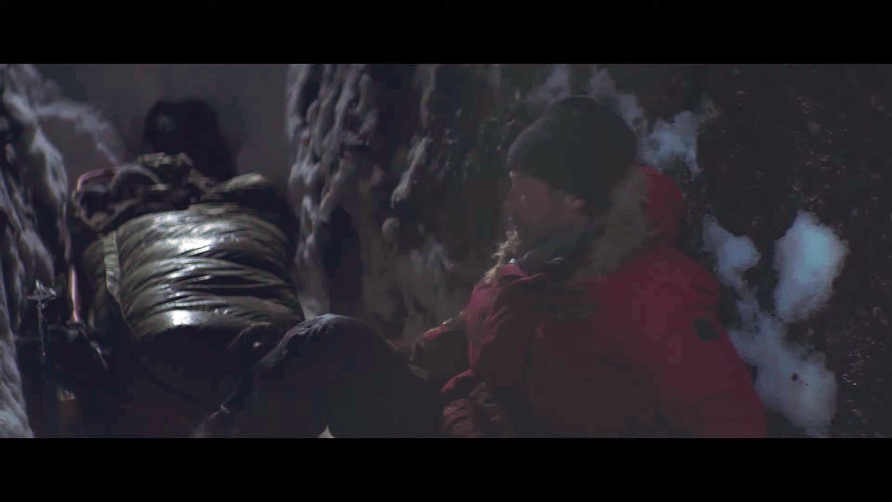ARCTIC - Visitor