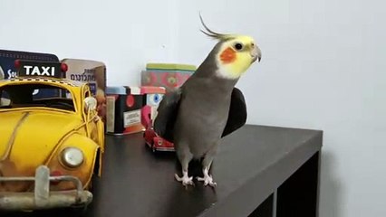 Can You Guess This Popular Television Theme?