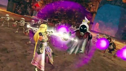 Hyrule Warriors - Zelda