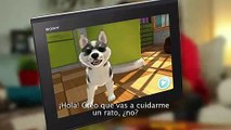 PS Vita Pets: Sala de cachorros - Tráiler