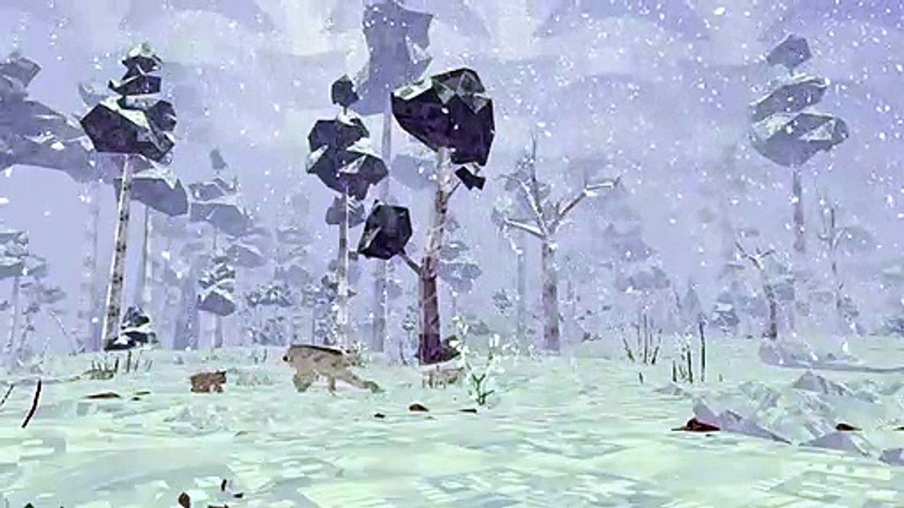 Shelter 2 - Anuncio