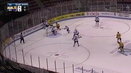 ECHL Norfolk Admirals 1 at South Carolina Stingrays 0