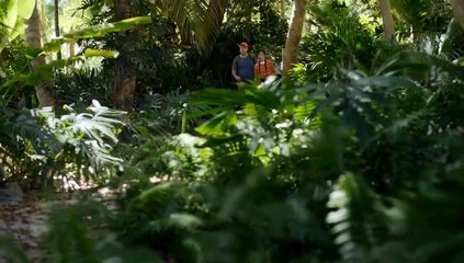 Donkey Kong Country: Tropical Freeze - Anuncio de TV