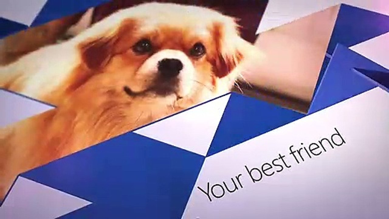 OneDrive - Nuevo nombre