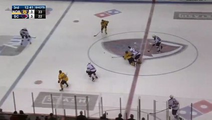 ECHL Norfolk Admirals 4 at South Carolina Stingrays 3