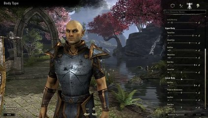 Video herunterladen: The Elder Scrolls Online - Creador de personajes