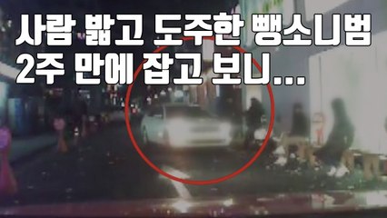 [자막뉴스] 사람 밟고 도주한 뺑소니범, 2주 만에 잡고 보니... / YTN