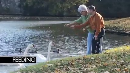 Tetris Blitz - Lanzamiento