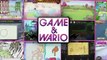 Game & Wario - Características