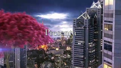 One Piece: Pirate Warriors 2 - Figura para coleccionistas