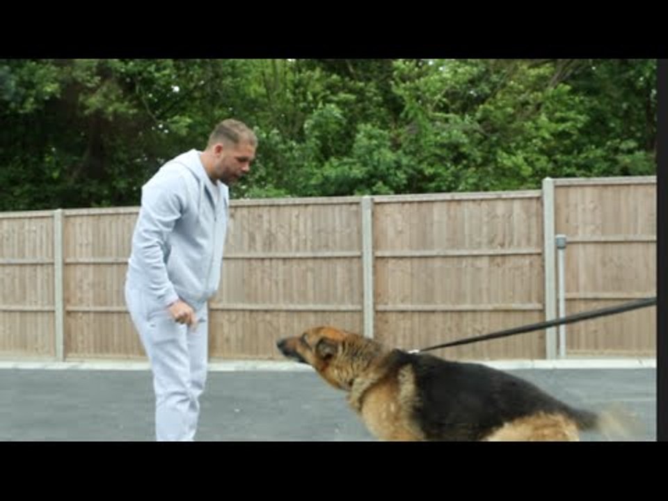 BILLY JOE SAUNDERS THREATENS TO LET HIS DOG LOOSE ON KUGAN CASSIUS (WHO IS HIDING IN HIS CAR)