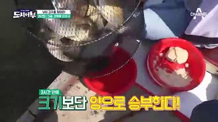 장수출장안마 -100%ョ안전Ø7Øw4949w6356[카톡GM1212]장수전지역출장마사지샵장수출장hk안마co장수출장마사지황형ħłø내상제로출장전문
