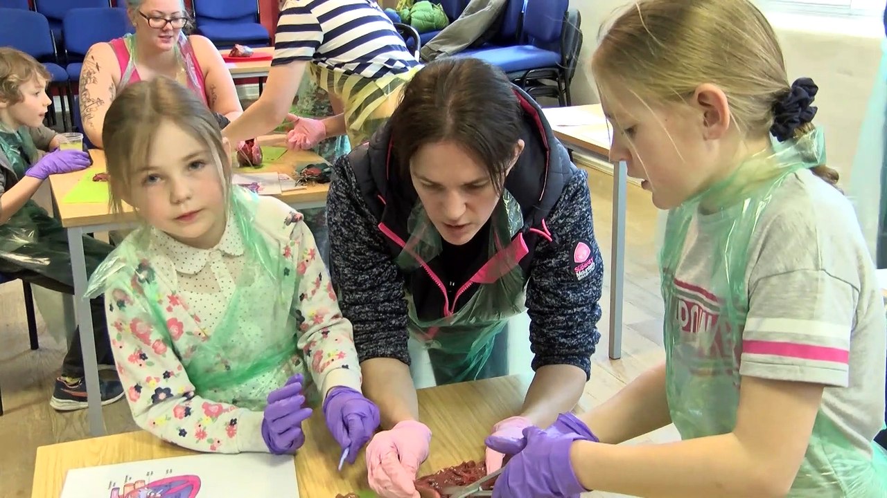 Heart Dissection at Thackray!