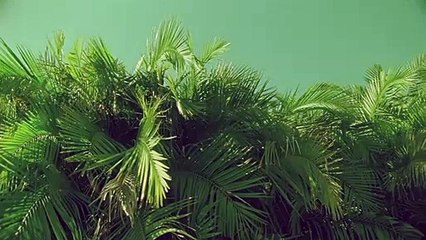 금천출장안마 {Ø1Øx2703x7745}【카톡VVV75】금천출장샵'예약'금천출장마사지 금천여대생출장 금천여고생출장 금천콜걸샵