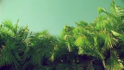 성동출장안마 {Ø1Øx2703x7745}【카톡VVV75】성동출장샵'예약'성동출장마사지 성동여대생출장 성동여고생출장 성동콜걸샵