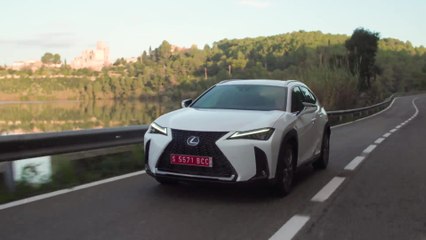The new Lexus UX 250h