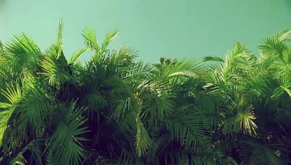 연서출장안마 {Ø1Øx2703x7745}【카톡VVV75】연서출장샵'예약'연서출장마사지 연서여대생출장 연서여고생출장 연서콜걸샵