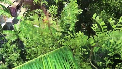 Far Cry 3 - Tráiler campaña