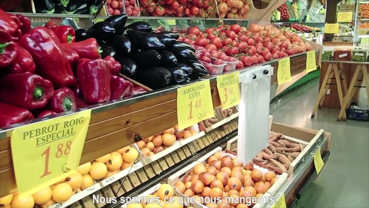 Graines d'Agro 2019 - Projet préselectionné - Le système Alimen-Terre